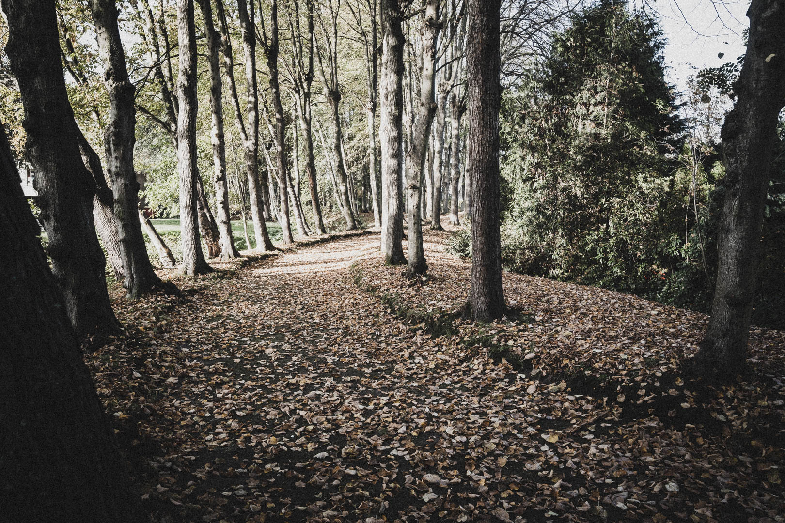 Norden (Ostfriesland), Jüdischer Friedhof